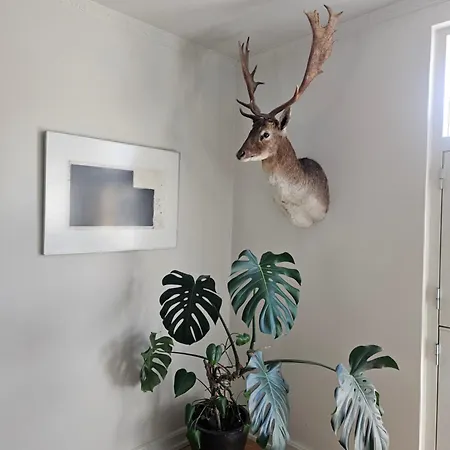 Hca House דירה *