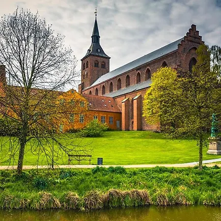 Center With Balcony, Garden & Free Parking Odense